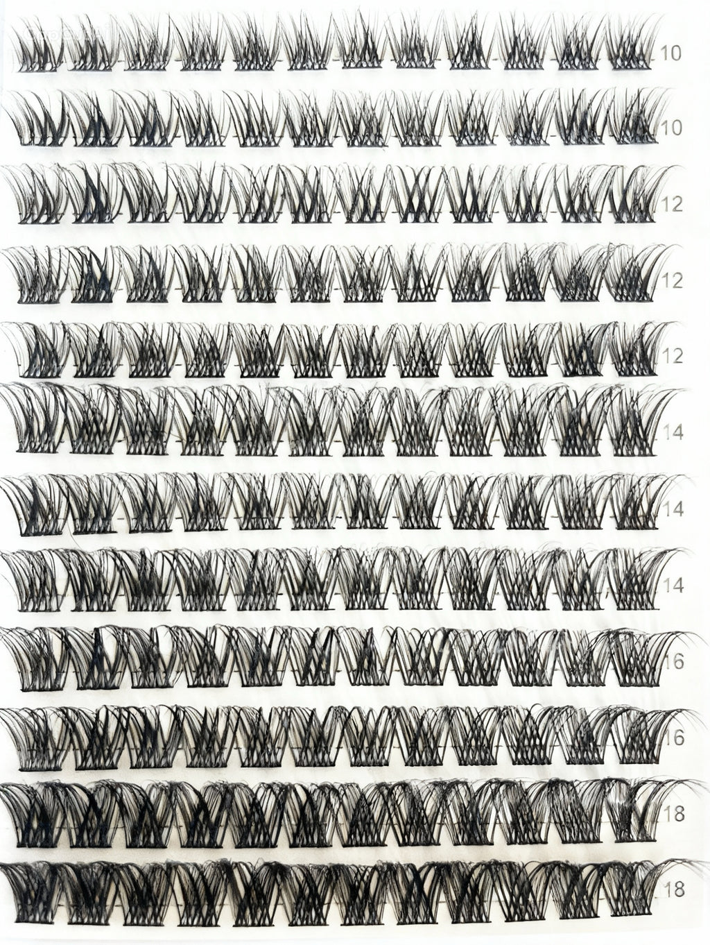 light wispy defined eyelash clusters