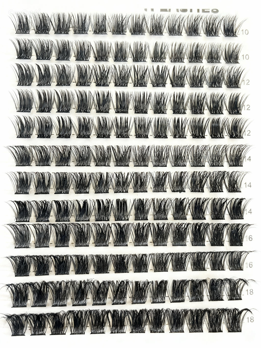 dramatic bold eyelash extensions NZ