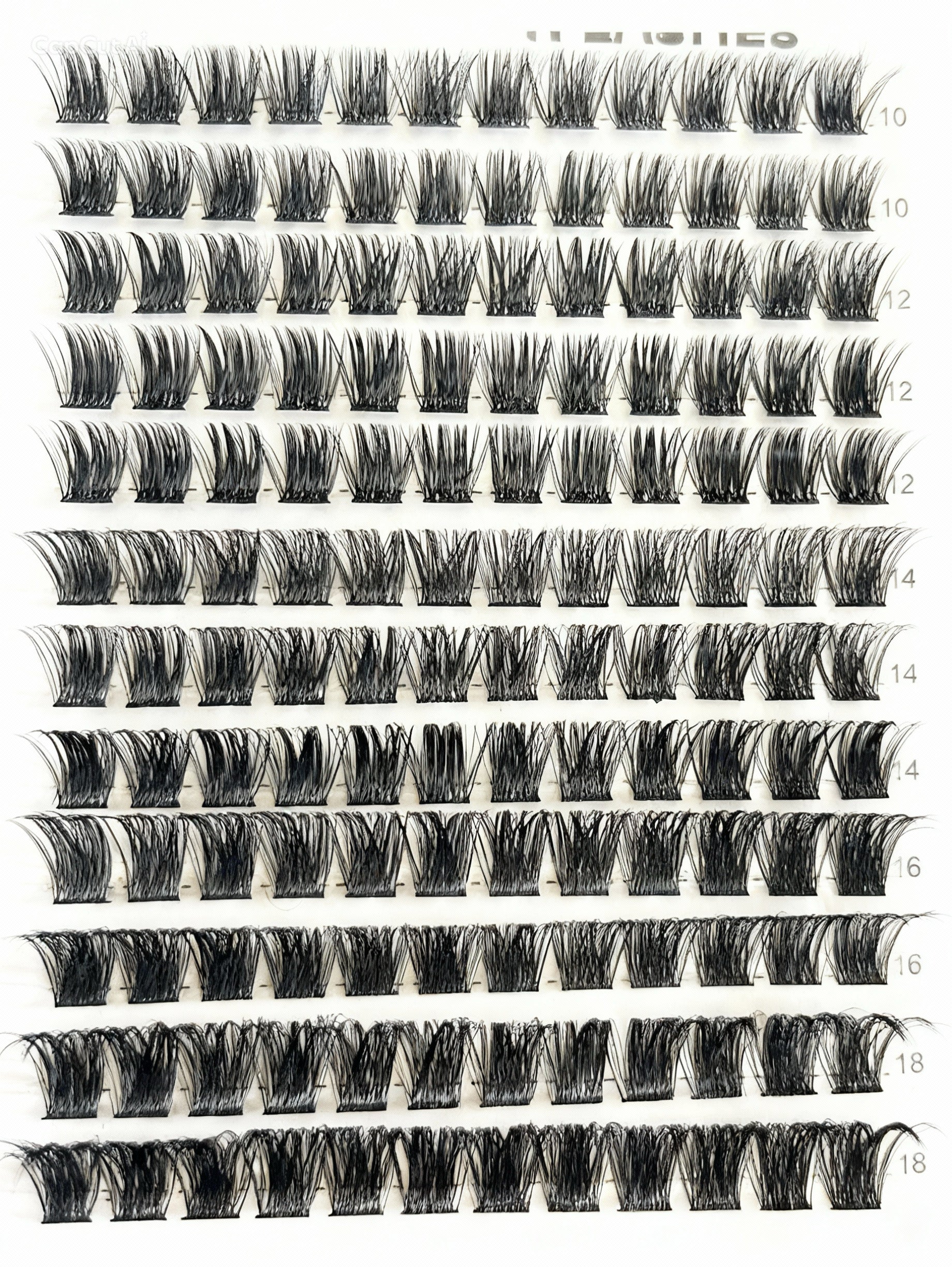 dramatic bold eyelash extensions NZ