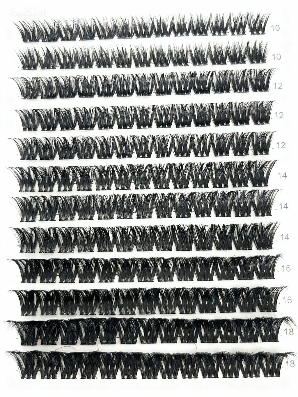 dramatic bold eyelash extensions NZ