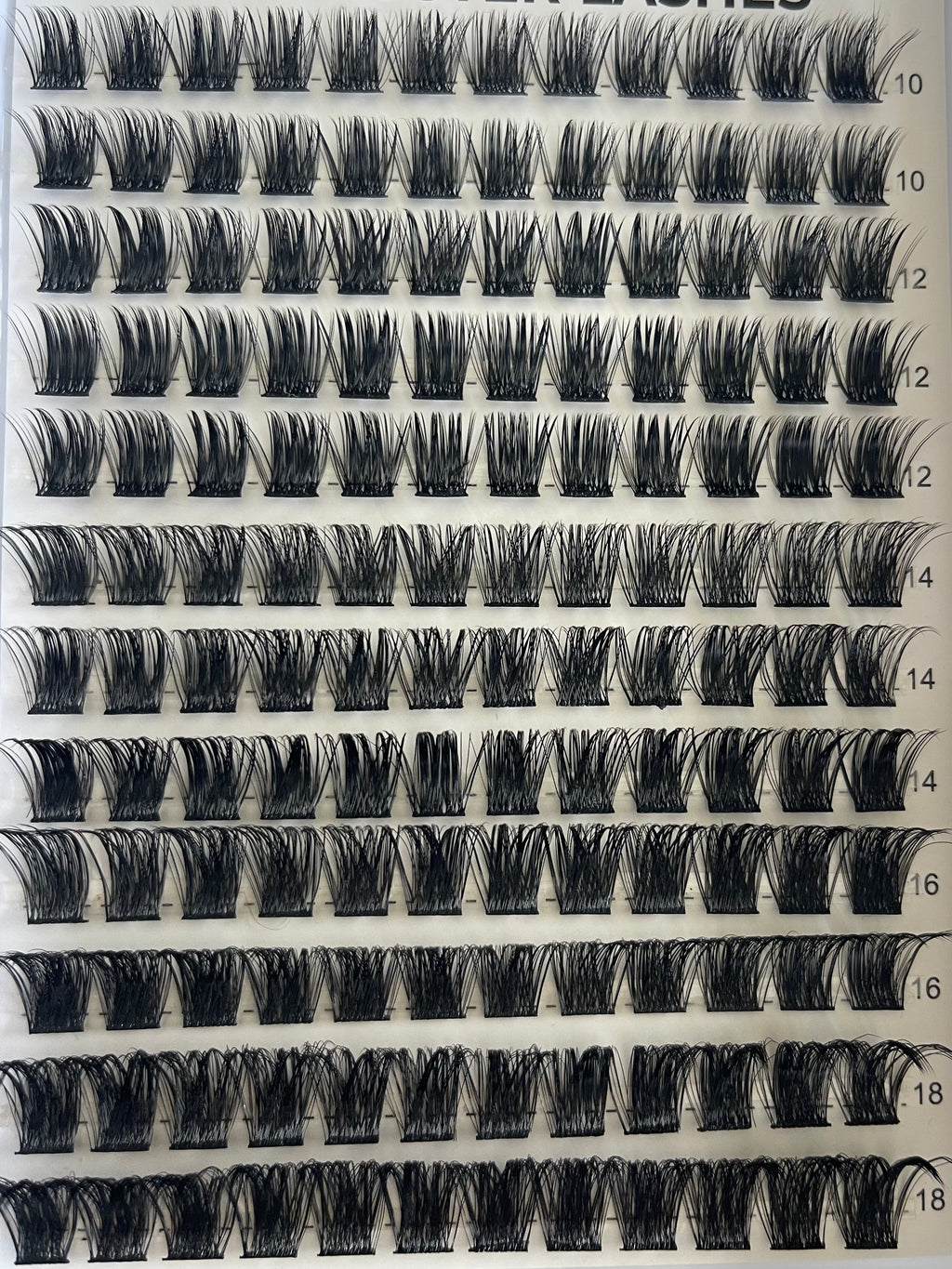 thick volume lash extensions siren